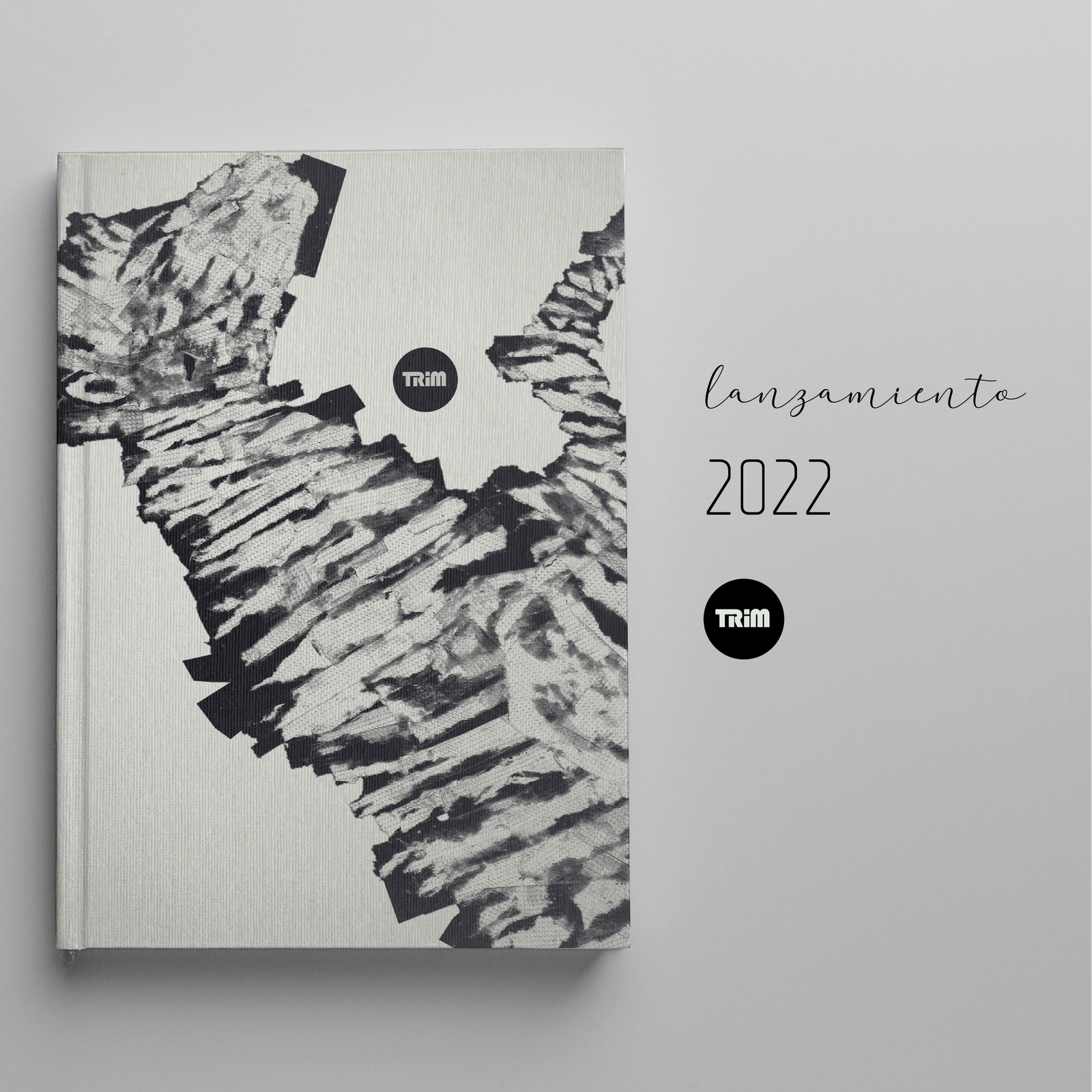 Collage Cebra ilustración