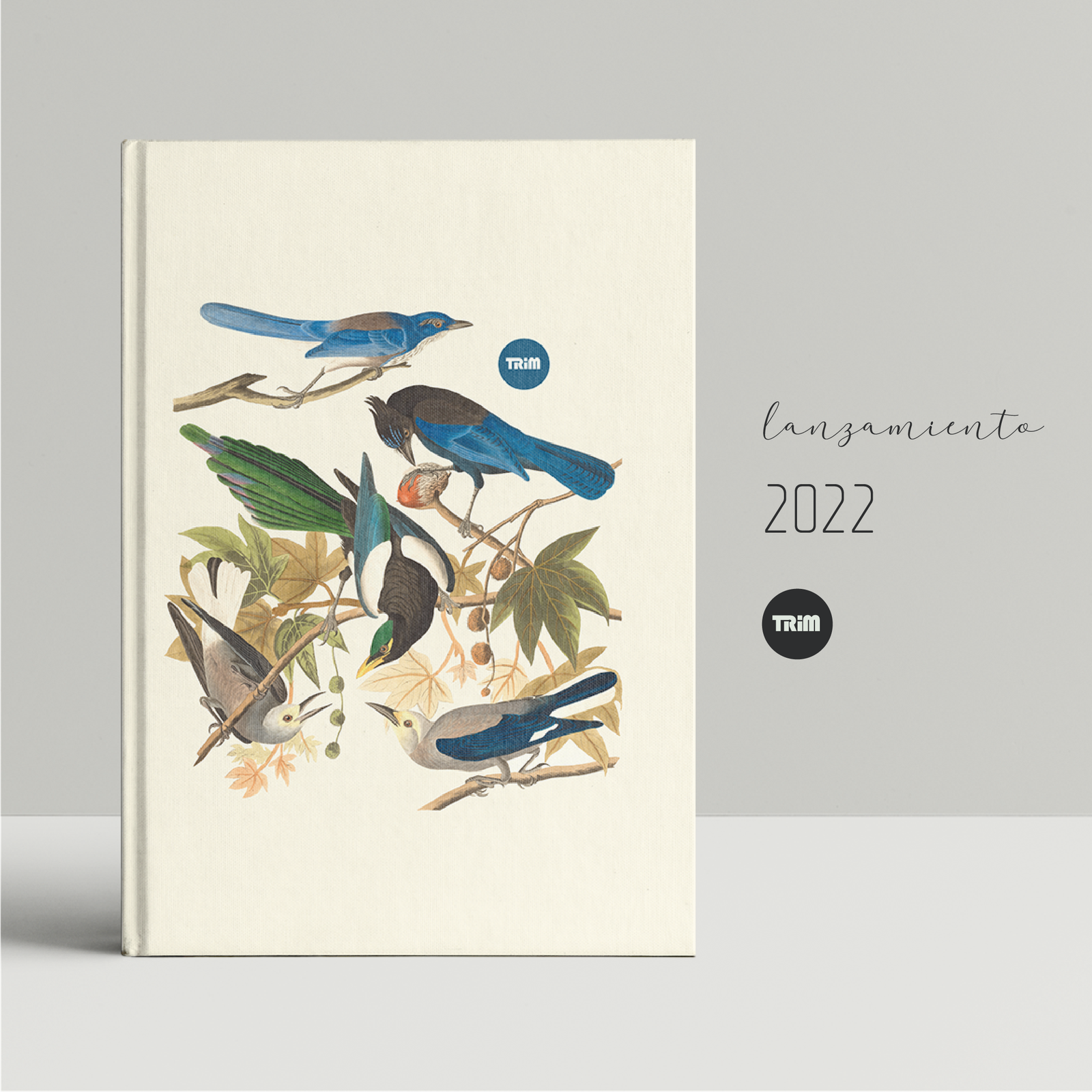 Pájaros en libertad